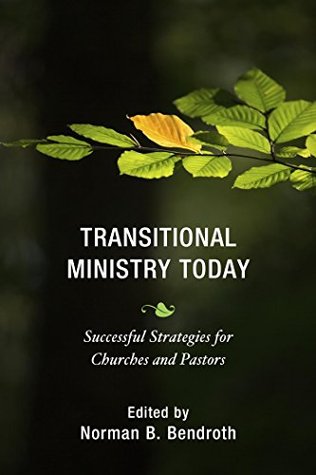 Transitional Ministry Today: Successful Strategies for Churches and Pastors (Kindle Edition)