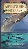 A Guide to Whales...