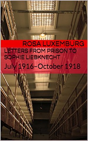 Letters from Prison to Sophie Liebknecht: July 1916–October 1918 (Kindle Edition)