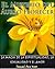 El Misterio del Áureo Florecer: La Magia de la Espiritualidad, La Sexualidad y el Amor