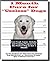 1 Month Cure for “Useless” Dogs: Fast-Track Game, Activity & Training Program for the Perfect Dog in Just 1 Month
