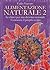 Alimentazione Naturale 2: Le chiavi per una dietetica razionale - Conoscere il proprio corpo (Italian Edition)
