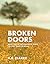 Broken Doors: Book One of the Carpenter Series, the Lost Years of Jesus