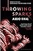 Throwing Sparks by Abdo Khal