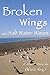Broken Wings and Salt Water Waves