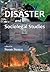 Disaster and Sociolegal Studies (Contemporary Society Series)