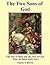 The Two Sons of God: The Son of Man and the Son of God - What the Bible Really Says