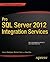 Pro SQL Server 2012 Integration Services (Expert's Voice in SQL Server)