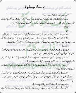 Saray Gulab Le Jana / سارے گلاب لے جانا