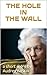 THE HOLE IN THE WALL