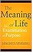 The Meaning of Life: An Examination of Purpose