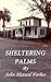 Sheltering Palms: Murder, Madness and Magic in Old Florida