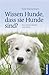 Wissen Hunde, dass sie Hund...