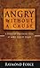 Angry Without a Cause - A Thought Provoking Look at God's Vie... by Raymond Force
