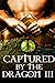 Captured by the Dragon III ...