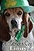 It's St. Patrick's Day, Linus (Easy reader/picture book)
