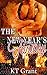 The New Year's Fantasy (Holiday Fantasy Book 2)