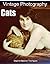 Cats: Vintage Photography