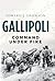 Gallipoli: Command Under Fire