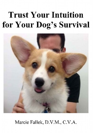 TRUST YOUR INTUITION FOR YOUR DOG'S SURVIVAL (Krishna's Flute: The Spiritual Journey of a Holistic Veterinarian Book 1)