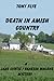 Death in Amish Country, A Jake Curtis / Vanessa Malone Mystery