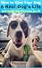 How To Give Your Dog A Real Dog's Life And Make Him Love You For It