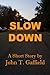 Slow Down