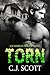 Torn (Summer in Winter, #2)