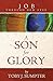 A Son for Glory: Job Through New Eyes