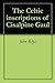 The Celtic inscriptions of ...