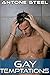 Gay Temptations