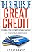 The 31 Rules Of Credit Repair by Brad Levin