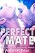 Perfect Mate