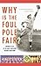 Why is the Foul Pole Fair? by Vince Staten