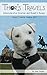 Thor's Travels: Adventures of an American Jack Russell in Europe