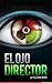 El Ojo Director by Paul Dorochenko
