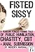 Fisted Sissy: A Femdom Forced Femme Tale of Public Humiliation, Chastity, CBT and Anal Submission