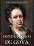 Don Francisco de Goya (German Edition)