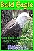 Bald Eagle : Fast Facts Picture