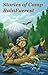 Stories of Camp Rainfurrest