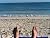 Shells Turning to Sand