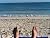 Shells Turning to Sand