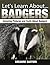 Badgers: Amazing Pictures and Facts About Badgers (Let's Learn About)