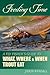 Feeding Time: A Fly Fisher's Guide to What, Where & When Trout Eat