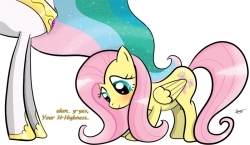 Fluttershy's Week-Long Foot-Long