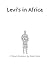 Levi's in Africa