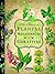 Plantas Medicinales Y Curat...