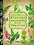 Plantas Medicinales Y Curativas (Atlas Ilustrado) by Susaeta Ediciones