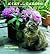 A Cat in the Garden 2015 Ca...