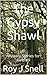 The Gypsy Shawl: Mystery Stories for Girls #9